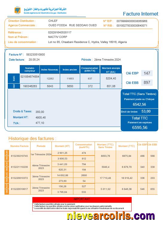 Algeria Societe Algerien Distribution internet business utility bill